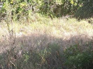 Građevinsko zemljište, Prodaja, Starigrad, Starigrad