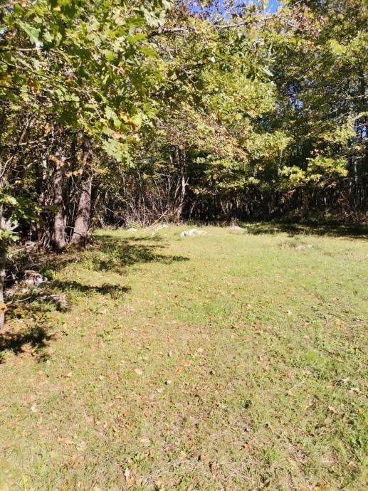 Poljoprivredno zemljište, Prodaja, Lovinac, Lovinac