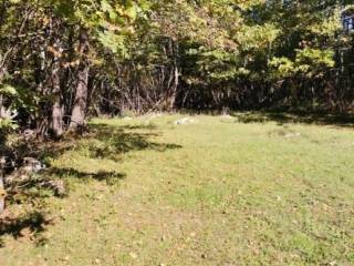 Poljoprivredno zemljište, Prodaja, Lovinac, Lovinac