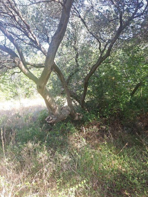 Građevinsko zemljište, Prodaja, Starigrad, Starigrad