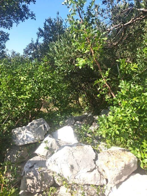 Građevinsko zemljište, Prodaja, Starigrad, Starigrad