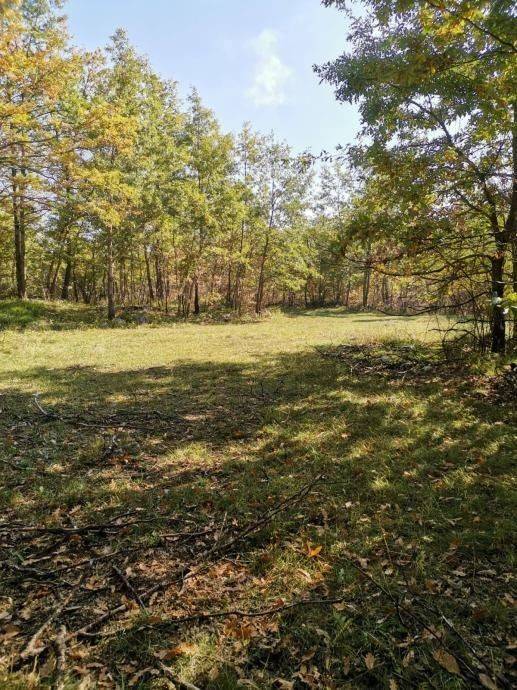 Poljoprivredno zemljište, Prodaja, Lovinac, Lovinac