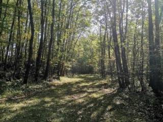 Poljoprivredno zemljište, Prodaja, Lovinac, Lovinac