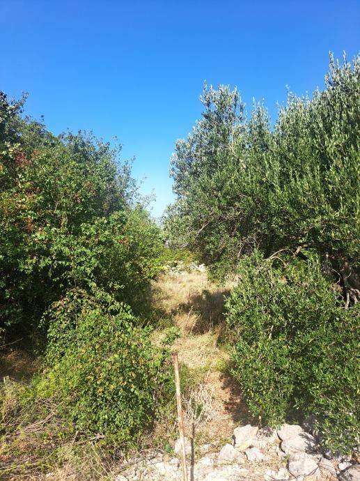 Građevinsko zemljište, Prodaja, Starigrad, Starigrad