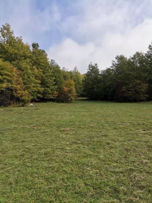 Poljoprivredno zemljište, Prodaja, Lovinac, Lovinac