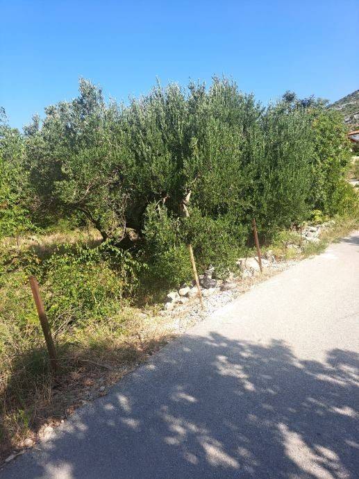 Građevinsko zemljište, Prodaja, Starigrad, Starigrad