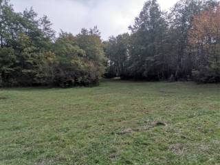 Poljoprivredno zemljište, Prodaja, Lovinac, Lovinac