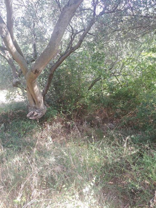 Građevinsko zemljište, Prodaja, Starigrad, Starigrad