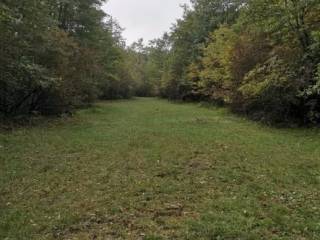 Poljoprivredno zemljište, Prodaja, Lovinac, Lovinac