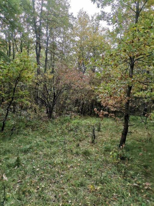 Poljoprivredno zemljište, Prodaja, Lovinac, Lovinac