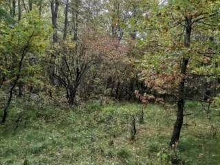 Poljoprivredno zemljište, Prodaja, Lovinac, Lovinac