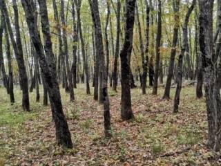 Poljoprivredno zemljište, Prodaja, Lovinac, Lovinac