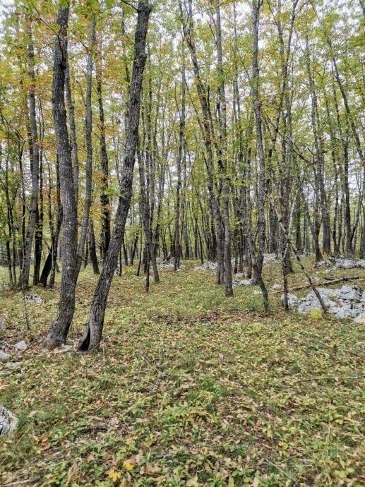 Poljoprivredno zemljište, Prodaja, Lovinac, Lovinac