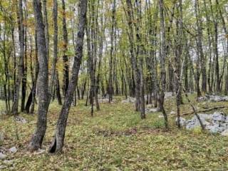 Poljoprivredno zemljište, Prodaja, Lovinac, Lovinac