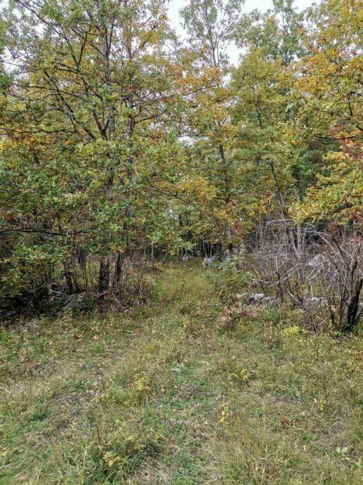 Poljoprivredno zemljište, Prodaja, Lovinac, Lovinac