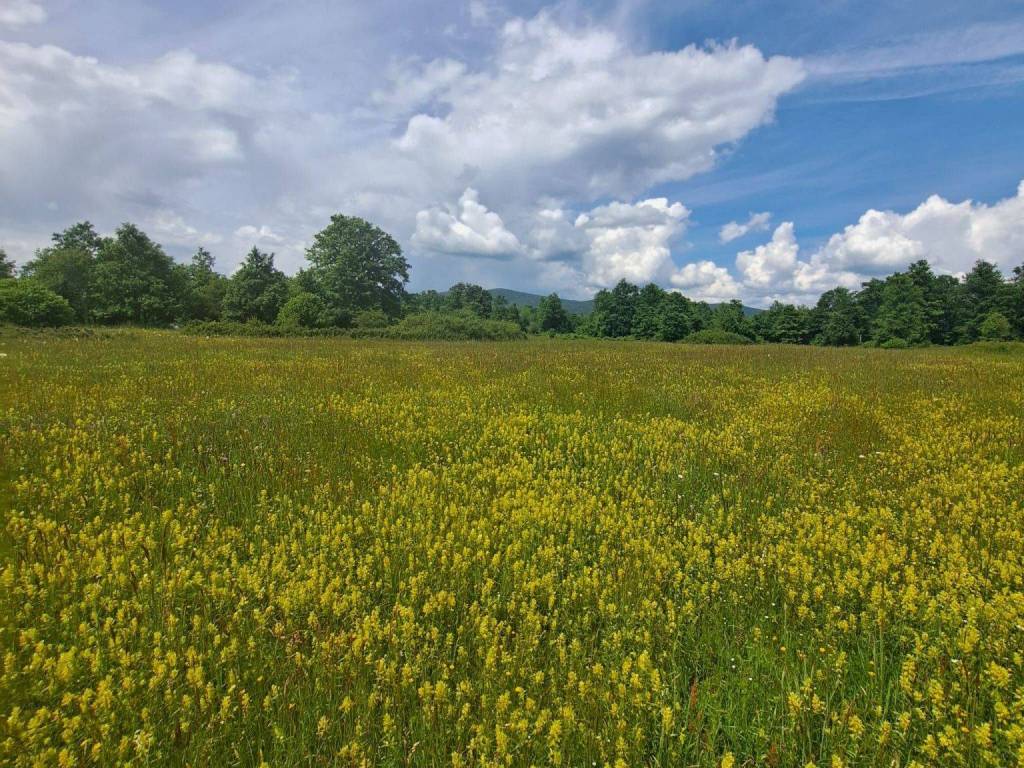 Poljoprivredno zemljište, Prodaja, Gospić - Okolica, Mogorić