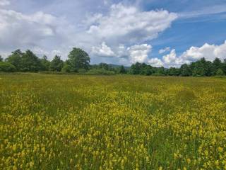 Poljoprivredno zemljište, Prodaja, Gospić - Okolica, Mogorić