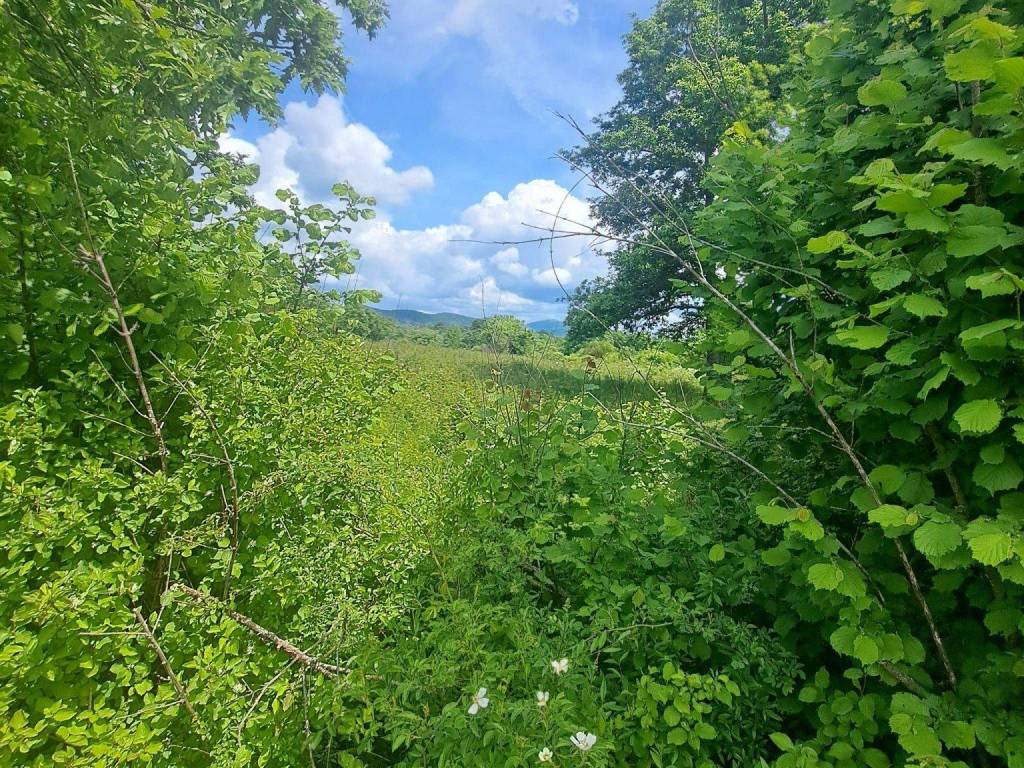 Poljoprivredno zemljište, Prodaja, Gospić - Okolica, Mogorić