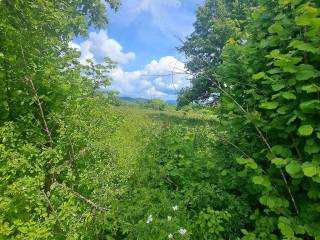 Poljoprivredno zemljište, Prodaja, Gospić - Okolica, Mogorić