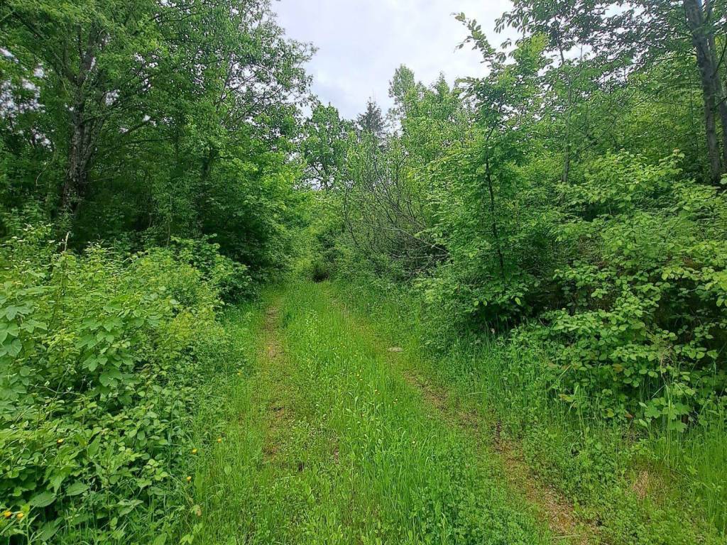 Poljoprivredno zemljište, Prodaja, Gospić - Okolica, Lički Čitluk