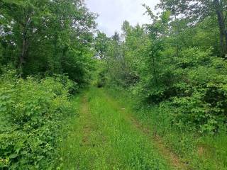 Poljoprivredno zemljište, Prodaja, Gospić - Okolica, Lički Čitluk