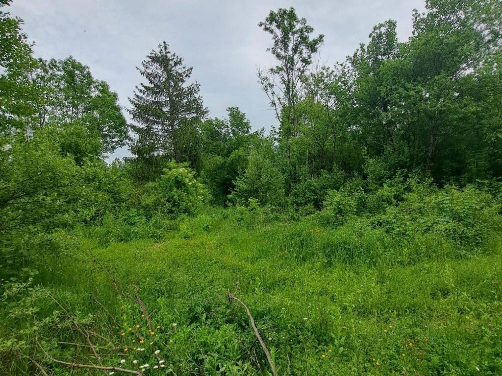 Poljoprivredno zemljište, Prodaja, Gospić - Okolica, Mogorić