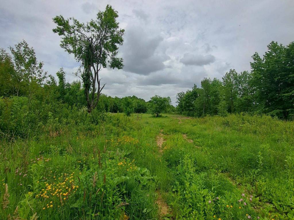 Poljoprivredno zemljište, Prodaja, Gospić - Okolica, Lički Čitluk
