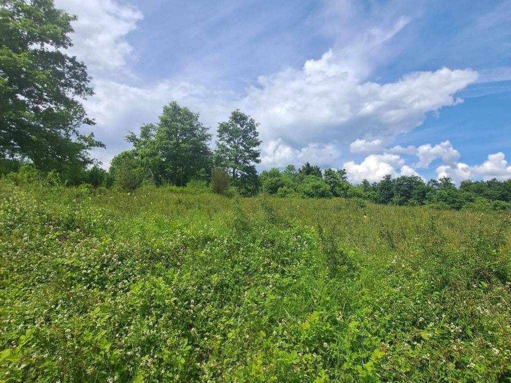 Poljoprivredno zemljište, Prodaja, Gospić - Okolica, Lički Čitluk