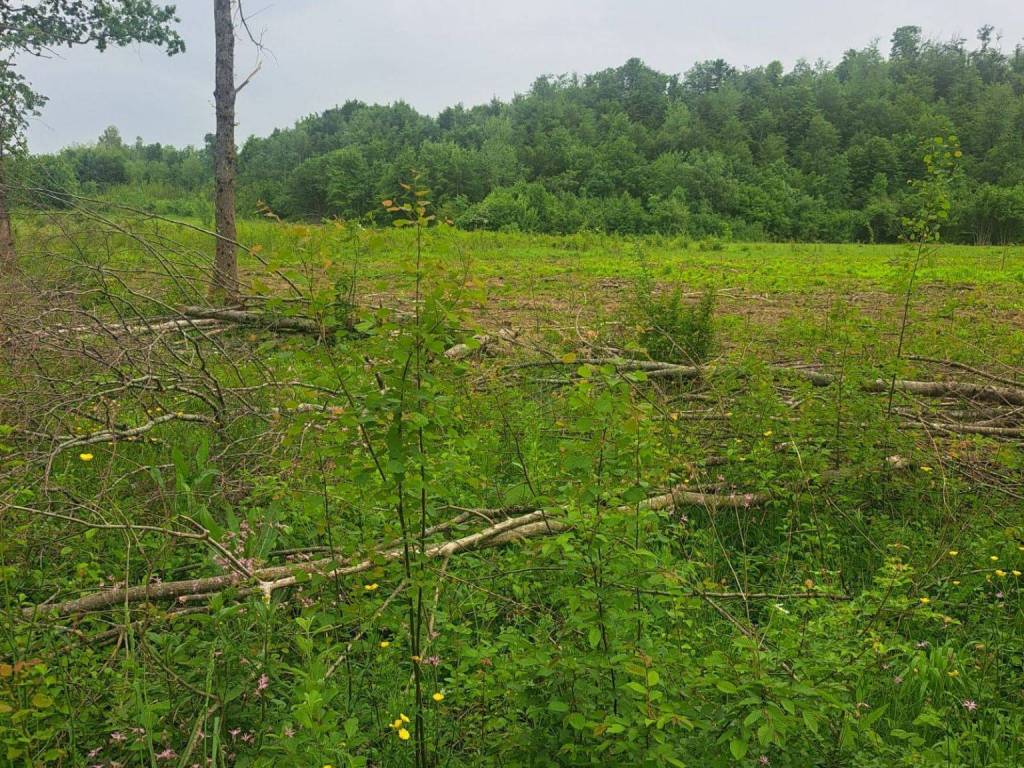 Poljoprivredno zemljište, Prodaja, Gospić - Okolica, Lički Čitluk