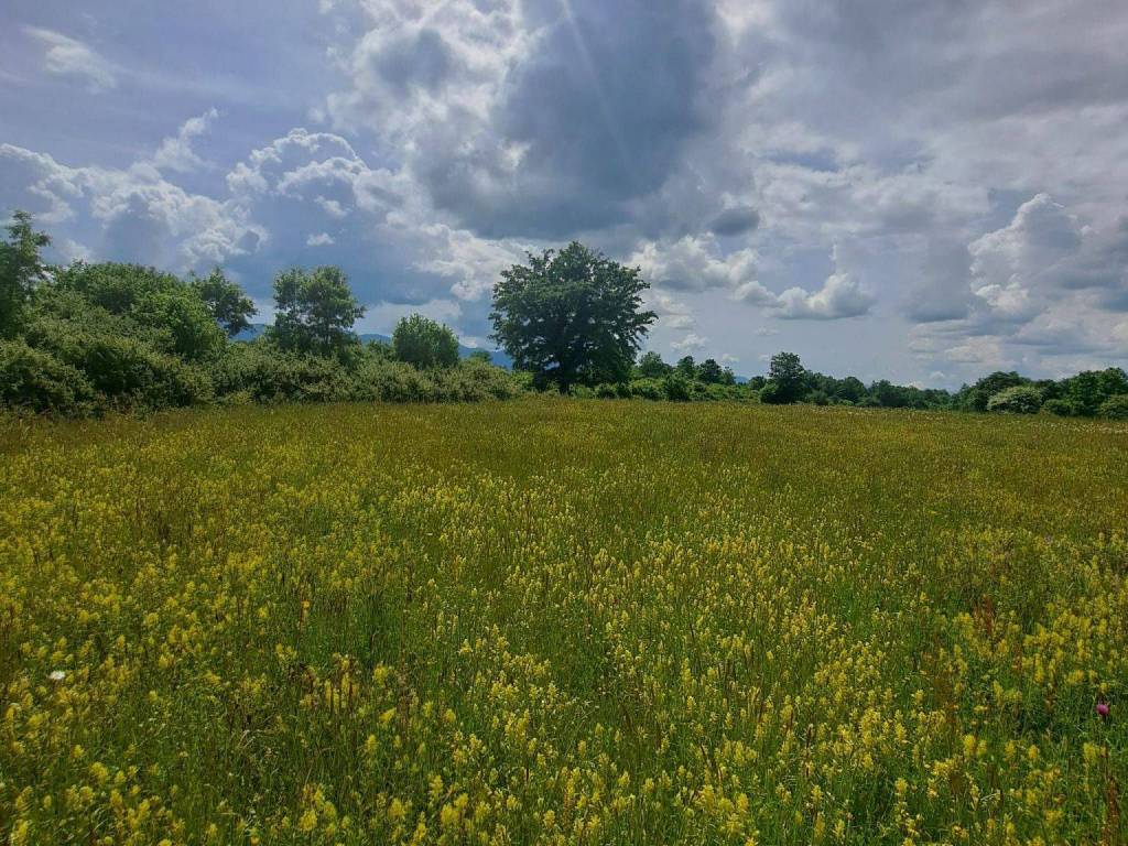 Poljoprivredno zemljište, Prodaja, Gospić - Okolica, Lički Čitluk