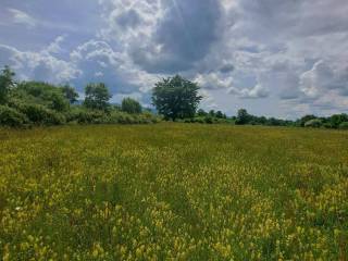 Poljoprivredno zemljište, Prodaja, Gospić - Okolica, Lički Čitluk