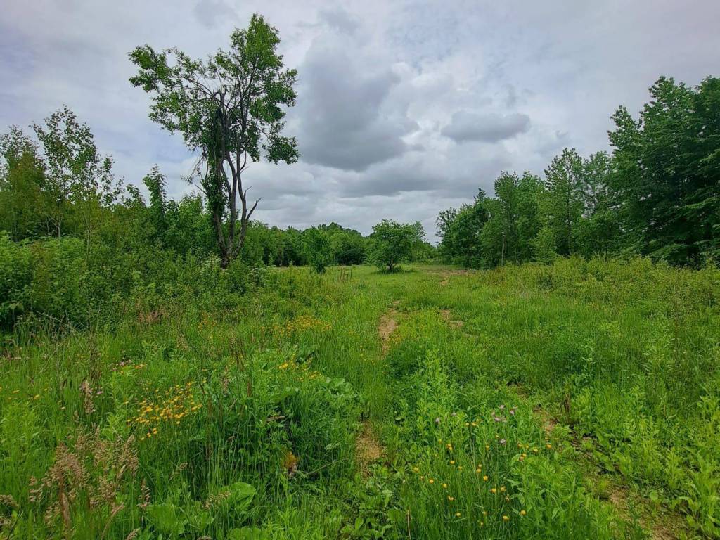Poljoprivredno zemljište, Prodaja, Gospić - Okolica, Lički Čitluk