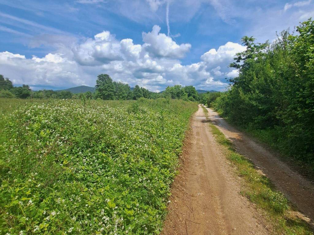 Poljoprivredno zemljište, Prodaja, Gospić - Okolica, Mogorić