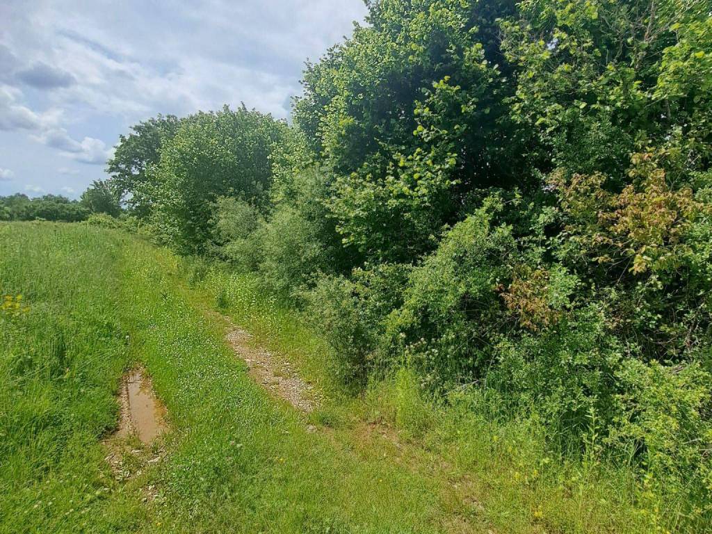 Poljoprivredno zemljište, Prodaja, Gospić - Okolica, Mogorić