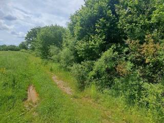 Poljoprivredno zemljište, Prodaja, Gospić - Okolica, Mogorić