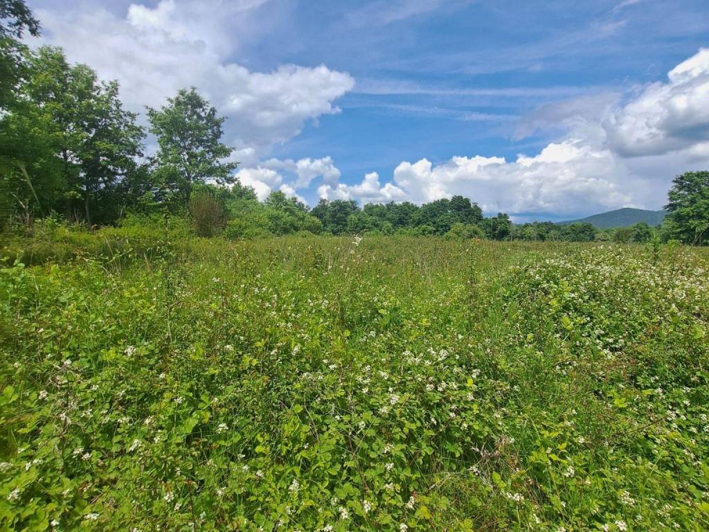 Poljoprivredno zemljište, Prodaja, Gospić - Okolica, Mogorić