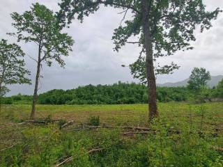 Poljoprivredno zemljište, Prodaja, Gospić - Okolica, Lički Čitluk