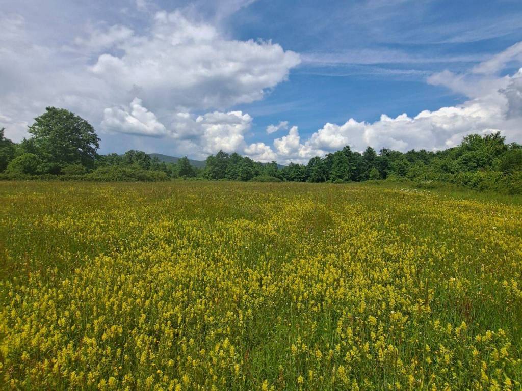 Poljoprivredno zemljište, Prodaja, Gospić - Okolica, Mogorić