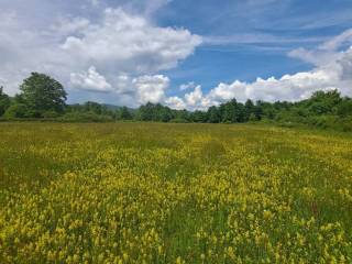 Poljoprivredno zemljište, Prodaja, Gospić - Okolica, Mogorić