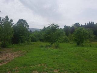 Poljoprivredno zemljište, Prodaja, Gospić - Okolica, Lički Čitluk