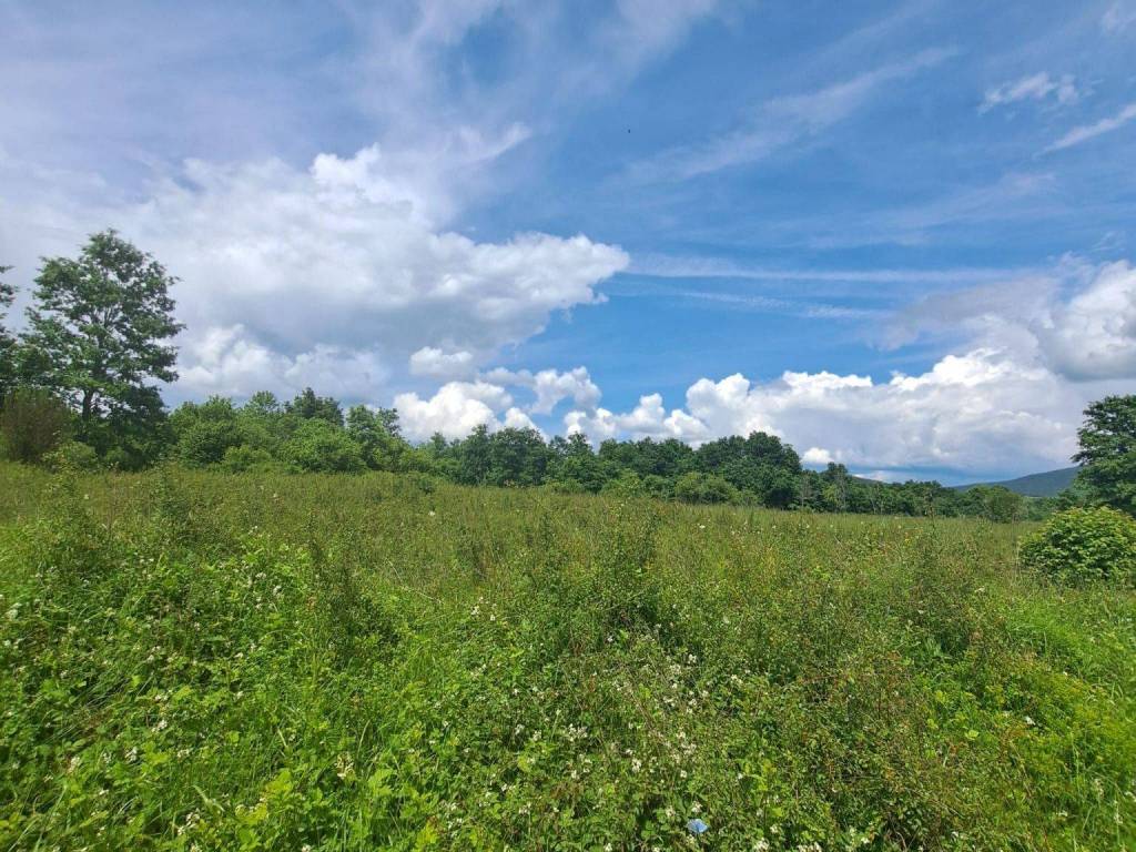 Poljoprivredno zemljište, Prodaja, Gospić - Okolica, Mogorić