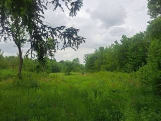 Poljoprivredno zemljište, Prodaja, Gospić - Okolica, Lički Čitluk