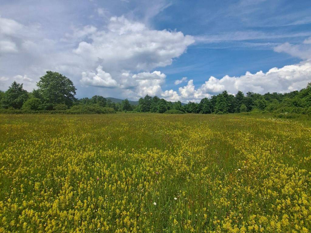 Poljoprivredno zemljište, Prodaja, Gospić - Okolica, Mogorić