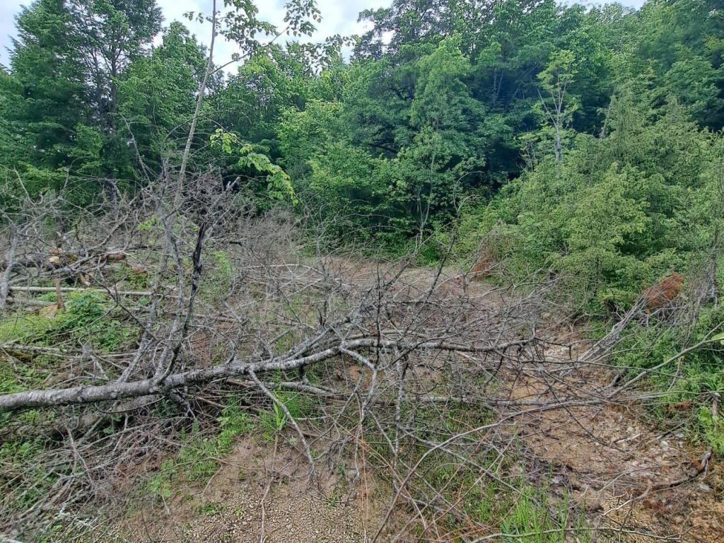 Poljoprivredno zemljište, Prodaja, Gospić - Okolica, Lički Čitluk