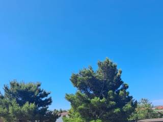 Građevinsko zemljište, Prodaja, Starigrad, Starigrad