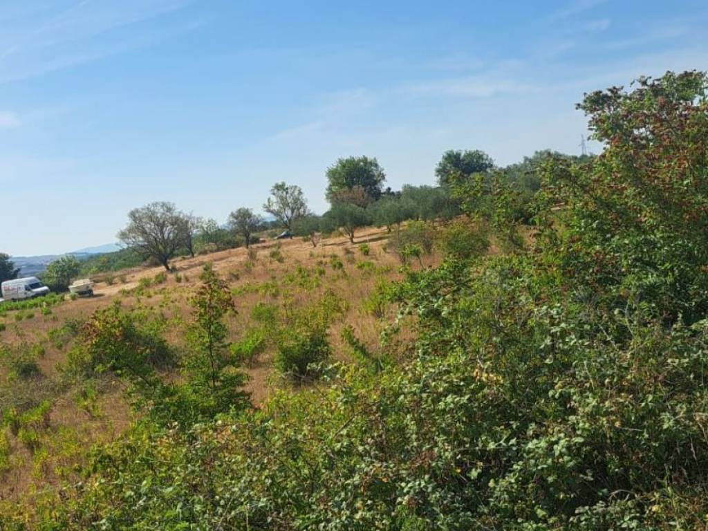 Građevinsko zemljište, Prodaja, Zadar, Zadar