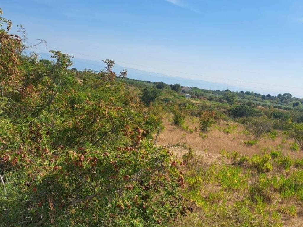 Građevinsko zemljište, Prodaja, Zadar, Zadar