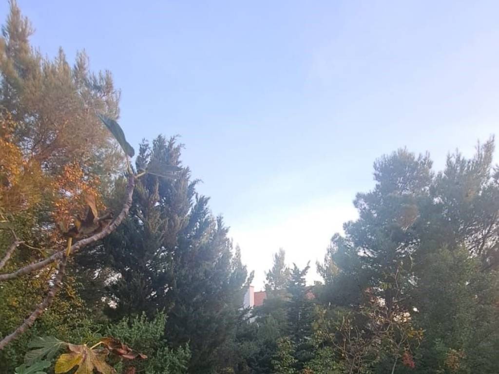 Građevinsko zemljište, Prodaja, Starigrad, Starigrad