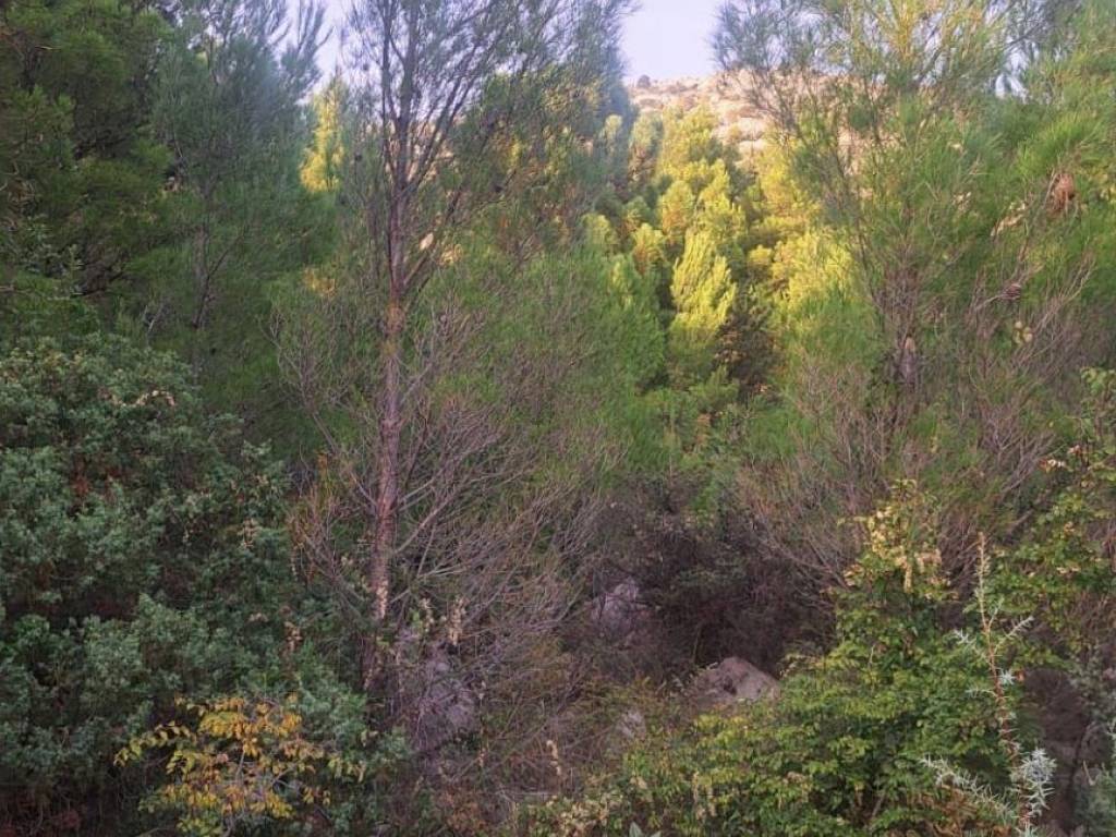 Građevinsko zemljište, Prodaja, Starigrad, Starigrad