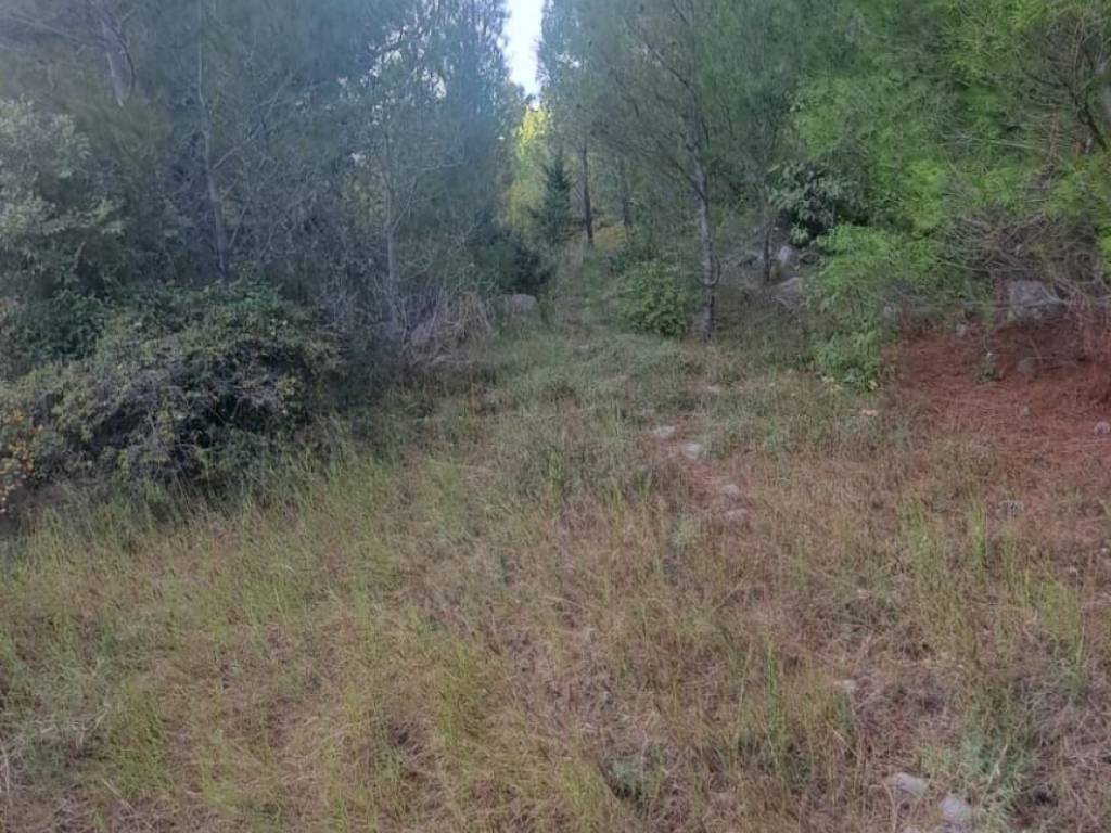 Građevinsko zemljište, Prodaja, Starigrad, Starigrad